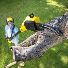 Best Tree and Shrub Care  in West Baraboo, WI
